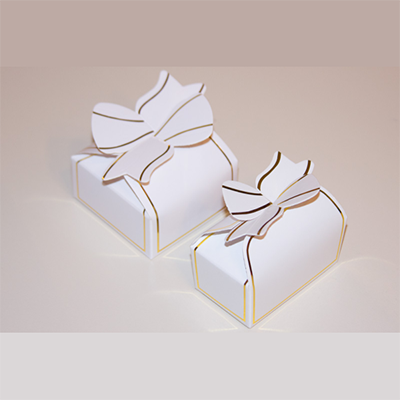 Elegant Bow Boxes