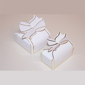 Elegant Bow Boxes